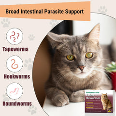 Alltripal vermifuge chat tablettes visibles, dosage simple et précis