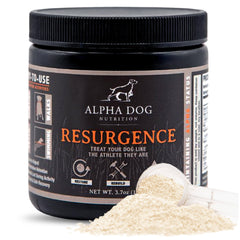 Alpha Dog Nutrition Électrolytes pour chiens, bouteille pratique pour hydrater lors d'activités.