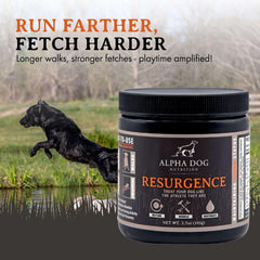 Alpha Dog Nutrition Électrolytes Saveur boeuf favorisant une prise facile après l’effort.