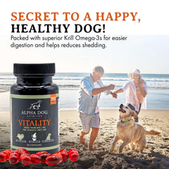 Chien au pelage sain et brillant grâce à Vitality d'Alpha Dog Nutrition