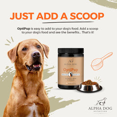 Étiquette OptiPup affiche les 31 super-aliments pour énergie et vitalité.