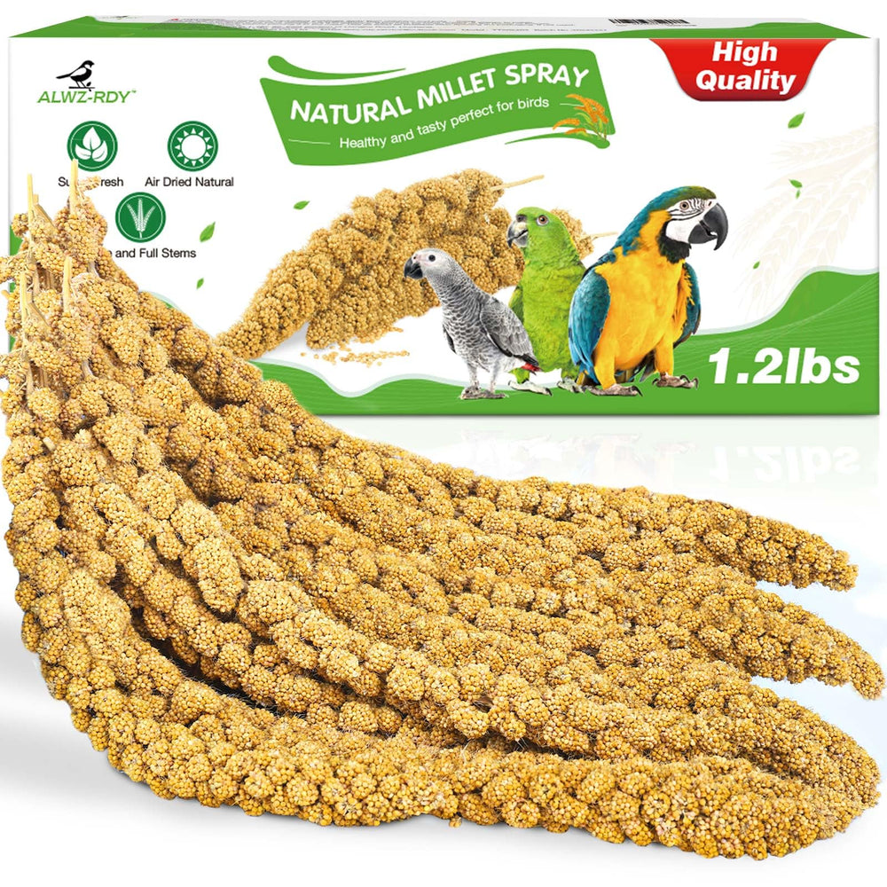 ALWZ-RDY millet en spray avec tiges fraîches, appétit et nutrition aviaire.
