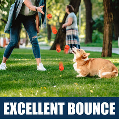 AMA SPORT balle-tennis-chien-entraînement-simple et durable en extérieur