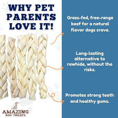 Alternative au cuir brut Amazing Dog Treats sans additifs