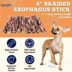 Vue rapprochée du bâtonnet œsophage tressé Amazing Dog Treats, perçage et surface texturée.