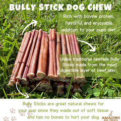 Amazing Dog Treats : première bouchée croustillante grâce à ces bâtons de taille moyenne.