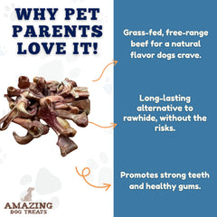 Amazing Dog Treats ingrédients naturels: sans additifs pour une collation simple.