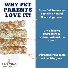 Chien mâchant des rouleaux Amazing Dog Treats pour une mastication durable.