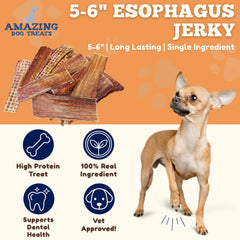Friandises goulets boeuf Amazing Dog Treats, texture ferme pour longue mastication