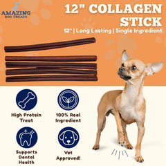 Amazing Dog Treats chien mâchant le bâton collagène, plaisir et mastication.