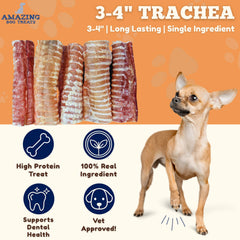Amazing Dog Treats texture naturelle-trachee-boeuf, croquant pour la mastication