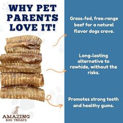 Emballage propre d'Amazing Dog Treats trachée de boeuf, sans additifs