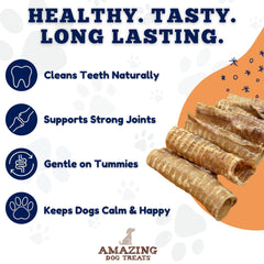 Zoom sur la texture détaillée de la trachée de boeuf Amazing Dog Treats