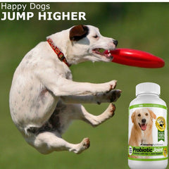 Amazing Nutritionals pour chien: soutien des hanches et mobilité améliorée grâce aux probiotiques.