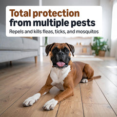 Amazon Basics: Application sur le dos du chien, facilité d’utilisation.