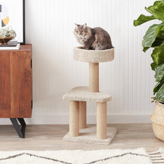 Plateau supérieur arrondi avec rebord, parfait comme lit d’appoint.
