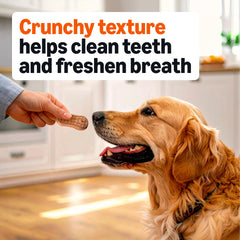 Biscuits Amazon Basics adaptés à toutes les tailles de chien, pratique et polyvalent.