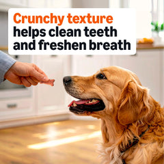 Biscuit Amazon Basics riches en vitamines et minéraux pour chiens actifs