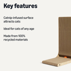 Amazon Basics grattoir mural vertical, conçu pour gagner de la place et stabilité lors de l’utilisation.