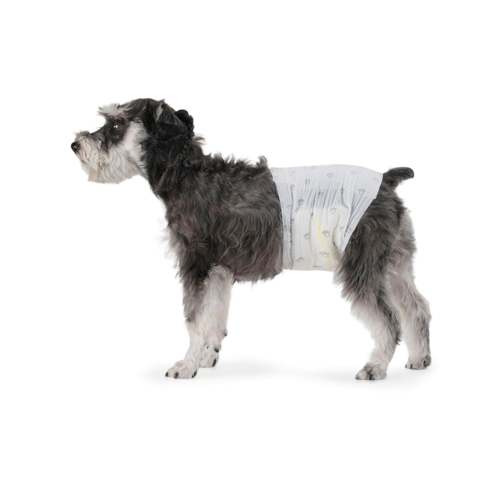 Couches Amazon Basics pour chien mâle, absorption et confort.
