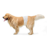 Couches Amazon Basics pour chien mâle grande taille, emballage de 30 pièces
