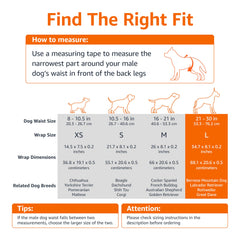 Indicateur d’humidité couleur-change sur les couches Amazon Basics pour chien mâle