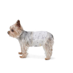 Amazon Basics couches jetables pour chien mâle XS, lot pratique et hygiénique.