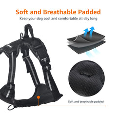 Harnais Amazon Basics ajustable rembourré pour un confort personnalisé.