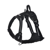 Harnais Amazon Basics sans tir rembourré pour chien, confort et contrôle.