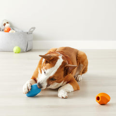 Jouet interactif Amazon Basics pour grands chiens, couleurs multiples.