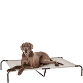 Amazon Basics lit pour chien élevé gris, vue avant, confort frais et espace généreux.