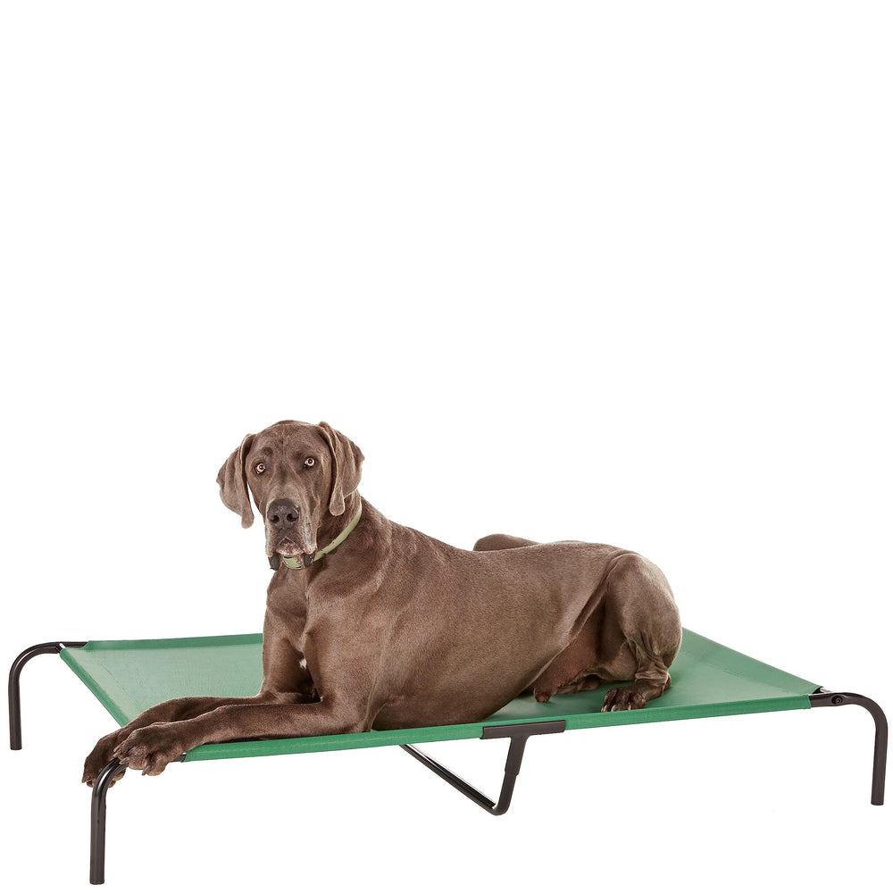 Amazon Basics lit chien elevé vert avec maillage respirant pour grandes races.