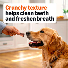 Amazon Basics biscuits chien quatre saveurs délicieuses pour varier les plaisirs