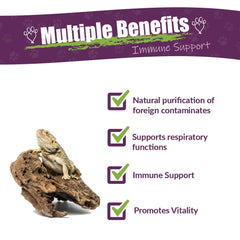 AMBER NATURALZ Reptaid : étiquette claire facilitant l'identification pour reptiles pesant jusqu'à 250 g.