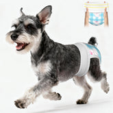 Ambreview couches-chiens-femelles-elastic-360: ajustement sûr et confortable.