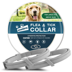 AMDEIUR collier-chien-grande-taille emballage prêt à l’emploi
