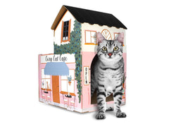 Herbe à chat American Cat Club incite le griffage sur le carton.