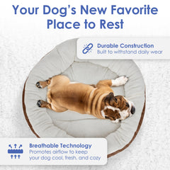 American Kennel Club base anti-dérapante, sécurité renforcée sur sols lisses.