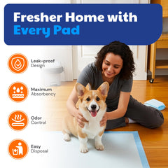 American Kennel Club pads d'entraînement - dessous imperméable pour prévenir les fuites.