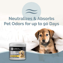Gros plan montrant le gel absorbant les odeurs AMERICAN KENNEL CLUB.