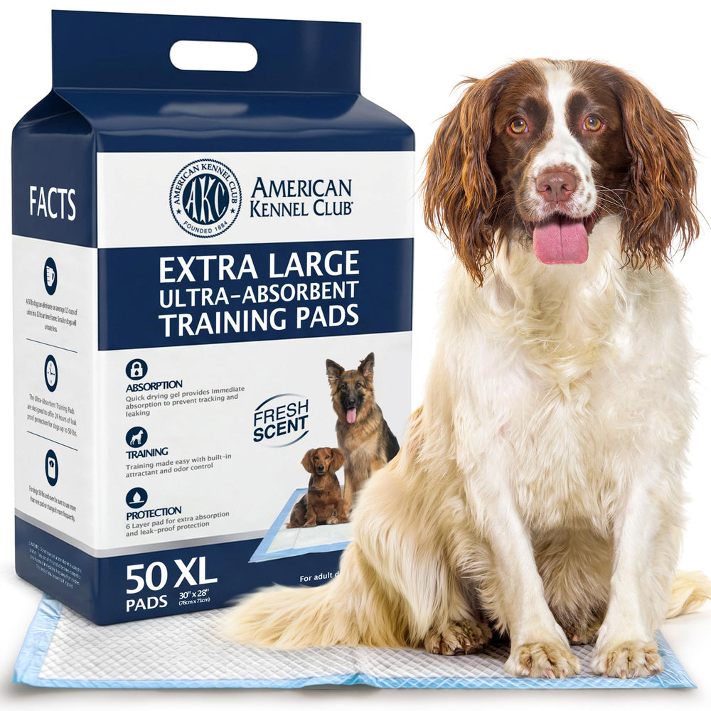 American Kennel Club pads d'entraînement - absorption rapide pour un sol propre.