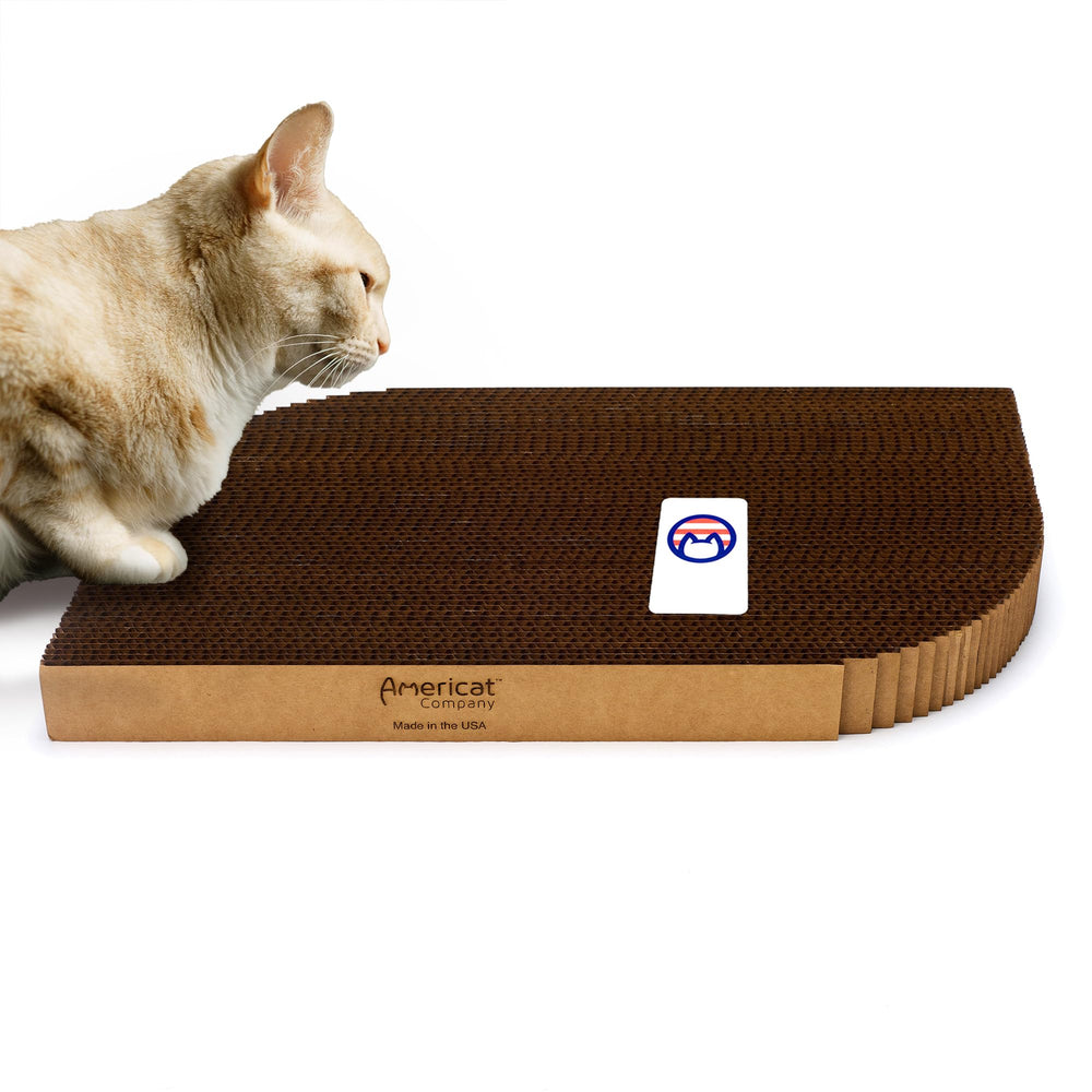 Americat chat-grattoir carton XL — face rectangulaire avant pour grattage durable.