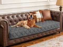 Ameritex couverture chien impermeable pour canapé, protège des liquides et taches.