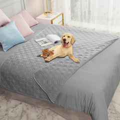 Ameritex couverture imperméable chien face canapé, protège votre meuble tout en restant douce.