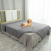 Couverture Ameritex imperméable pour chien sur canapé, protège le mobilier des liquides.