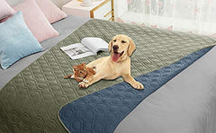Housse imperméable Ameritex sur canapé avec chien, protège contre les taches.