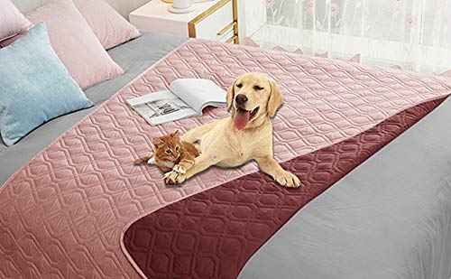 Housse Ameritex impermeable pour chien sur canapé, protège contre taches et liquides.