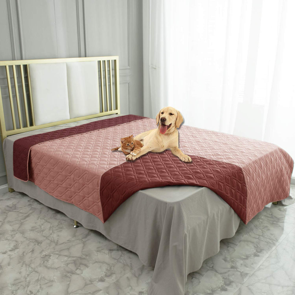 Ameritex housse-impermeable-chien-canape protège le canapé des taches.