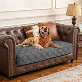 Housse impermable Ameritex pour chien sur canapé: protection contre liquides.