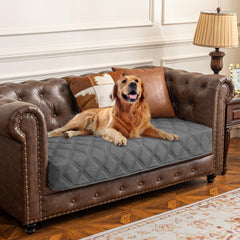 Housse impermable Ameritex pour chien sur canapé: protection contre liquides.